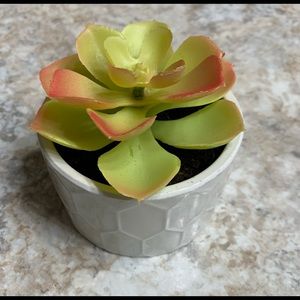 Potted Faux Succulent